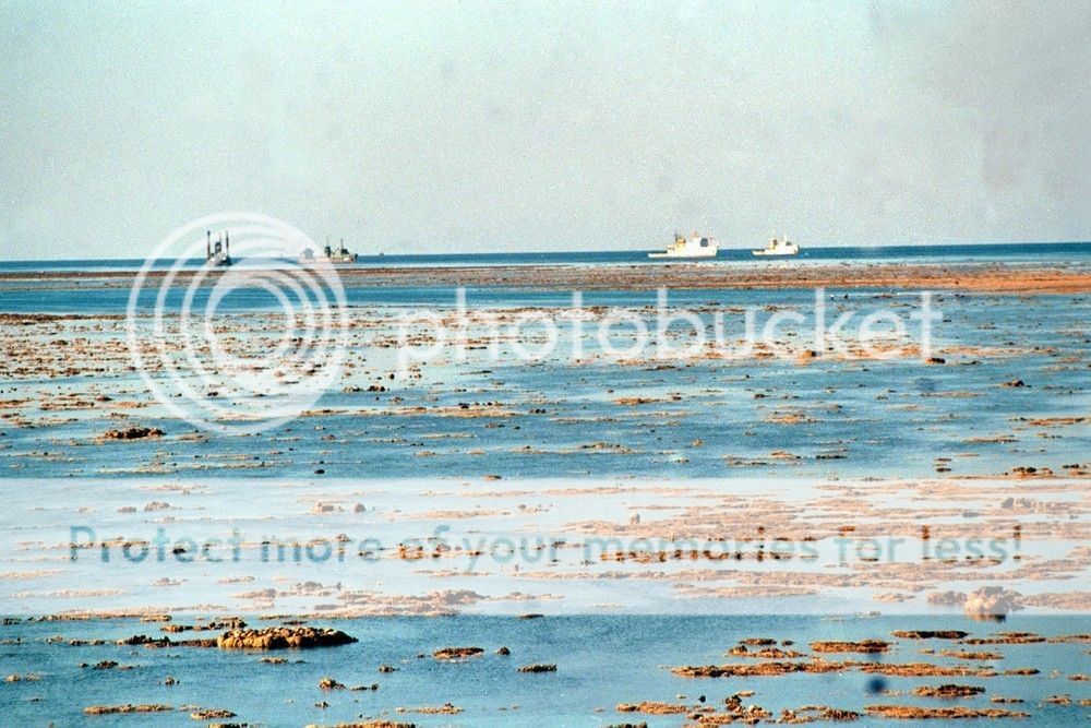 155746njtbraijzaz1jji5_zpsnhnoyh8m.jpg~original