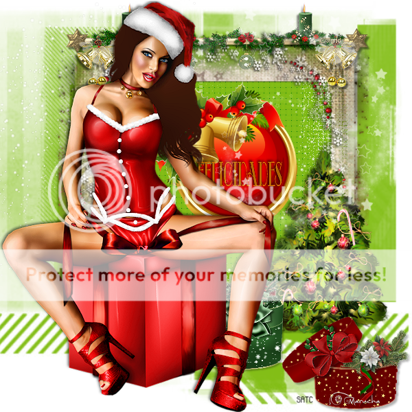 photo maskwinter150387_zpsb94794a6.png