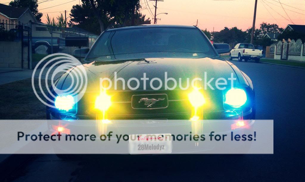 HID Lights! Mustang Evolution Forum