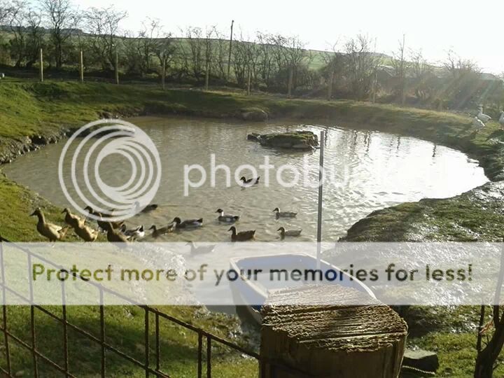 IMG_2705050545707_zps8b9b7190.jpg