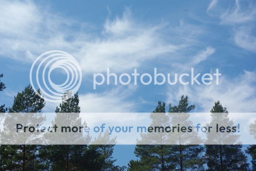  photo 001_zpsb193aab0.jpg