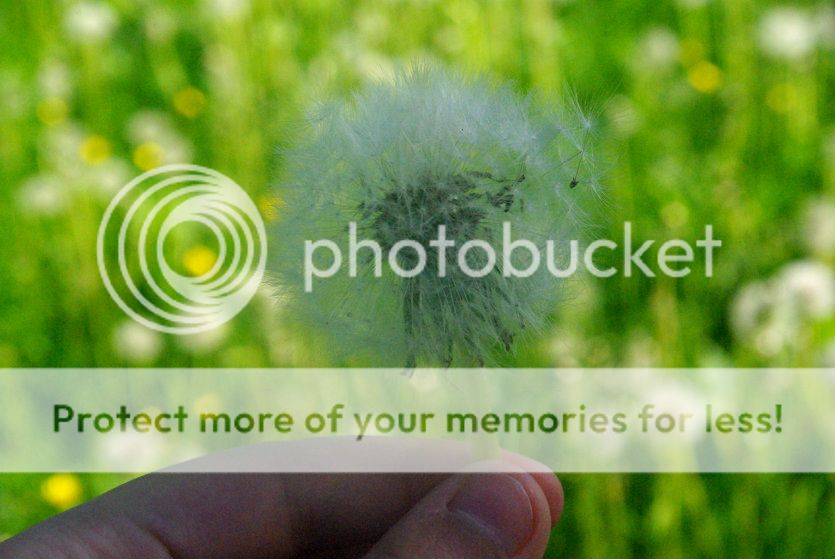  photo 020_zpsad889da7.jpg