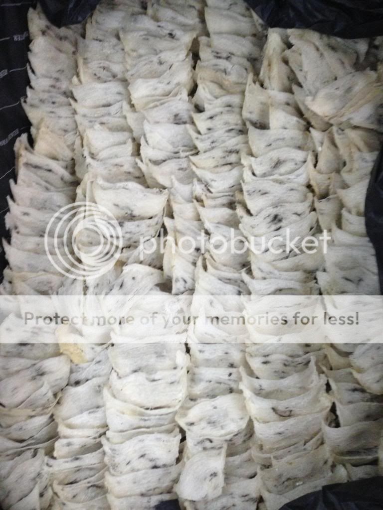 Tổ Yến - Chuyên Cung Cấp Các Mặt Hàng Tổ Yến Sào Sỉ & Lẻ - 3