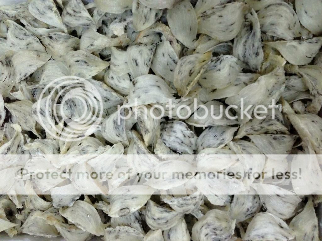 Tổ Yến - Chuyên Cung Cấp Các Mặt Hàng Tổ Yến Sào Sỉ & Lẻ - 4