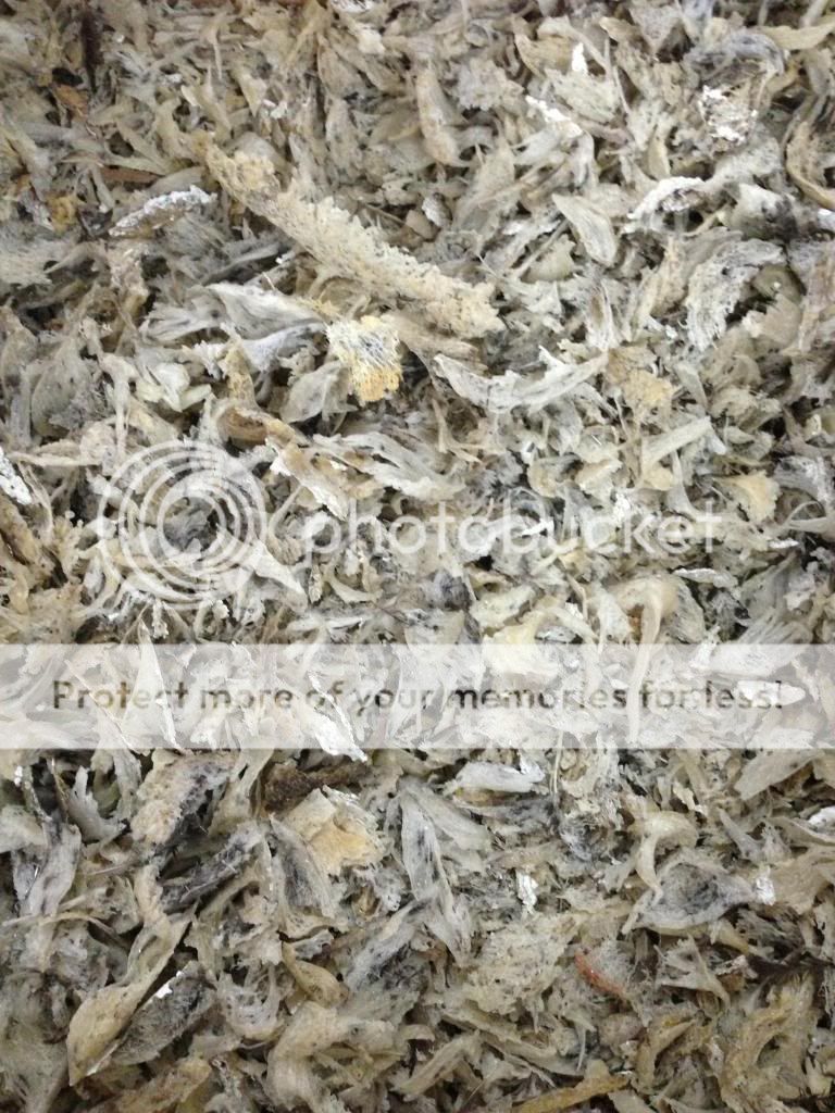 Tổ Yến - Chuyên Cung Cấp Các Mặt Hàng Tổ Yến Sào Sỉ & Lẻ