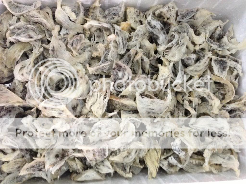 Tổ Yến - Chuyên Cung Cấp Các Mặt Hàng Tổ Yến Sào Sỉ & Lẻ - 2