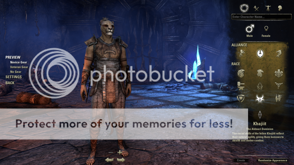 Elder Scrolls Online Beta Elder Scrolls Online Beta