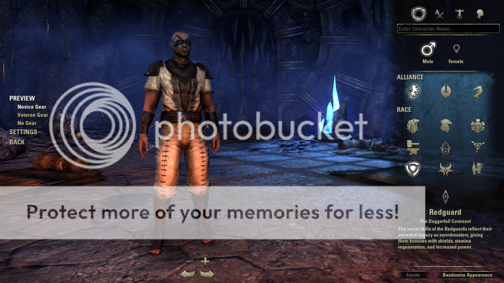 Elder Scrolls Online Beta Elder Scrolls Online Beta